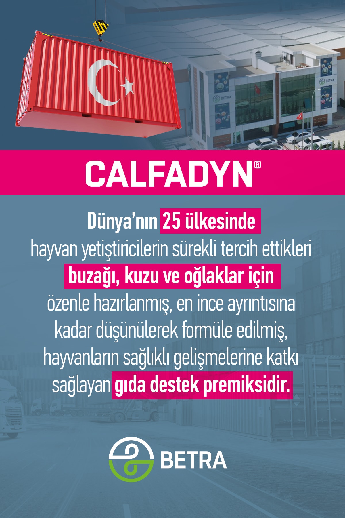 680 Gram  Buzağı Kuzu Oğlak Ishal Önleyici Sağlıklı Büyüme Desteği yoğun Premiks 9