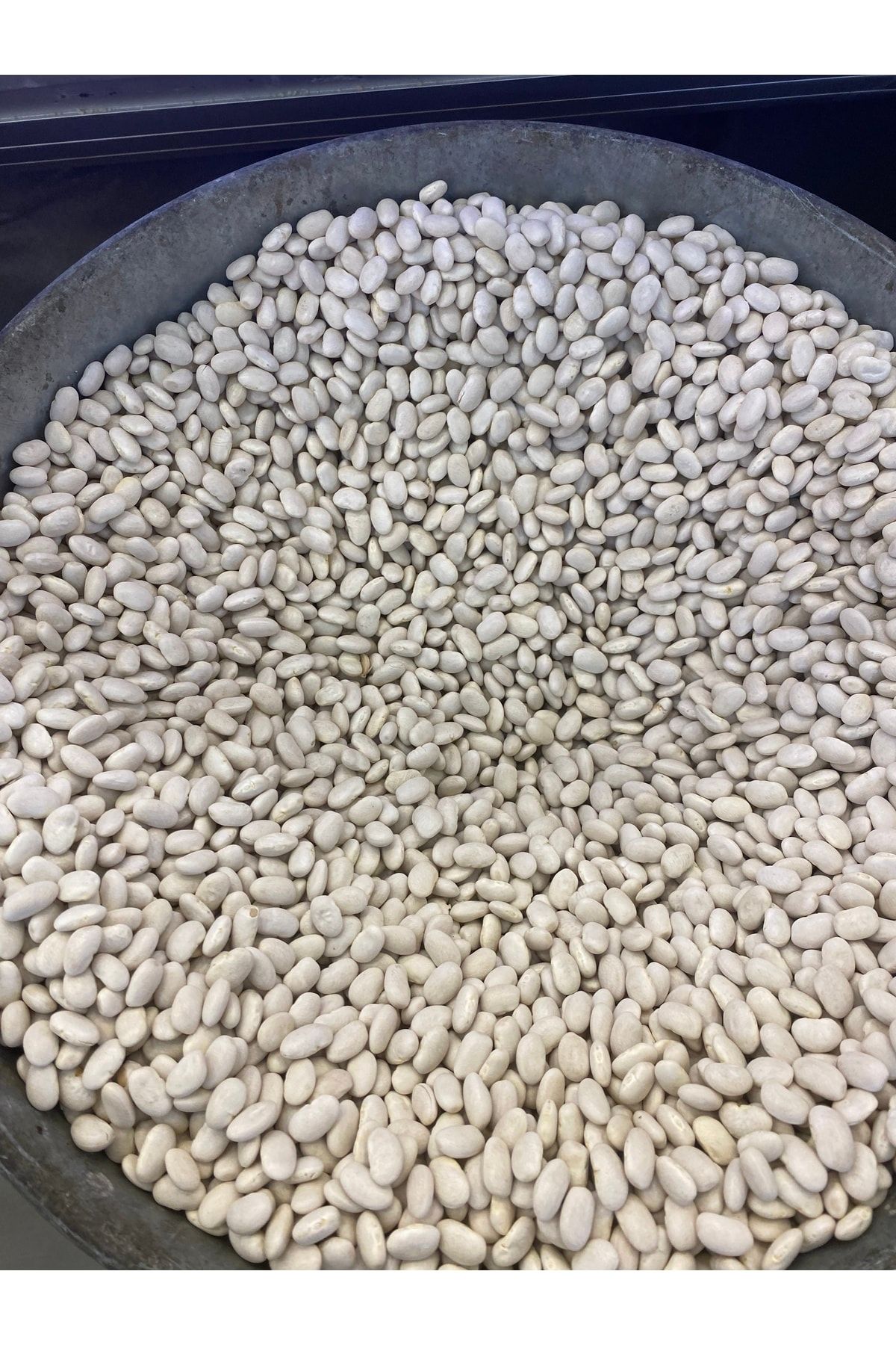 Başpınar Yerli Dermeson Fasulye 500 Gr