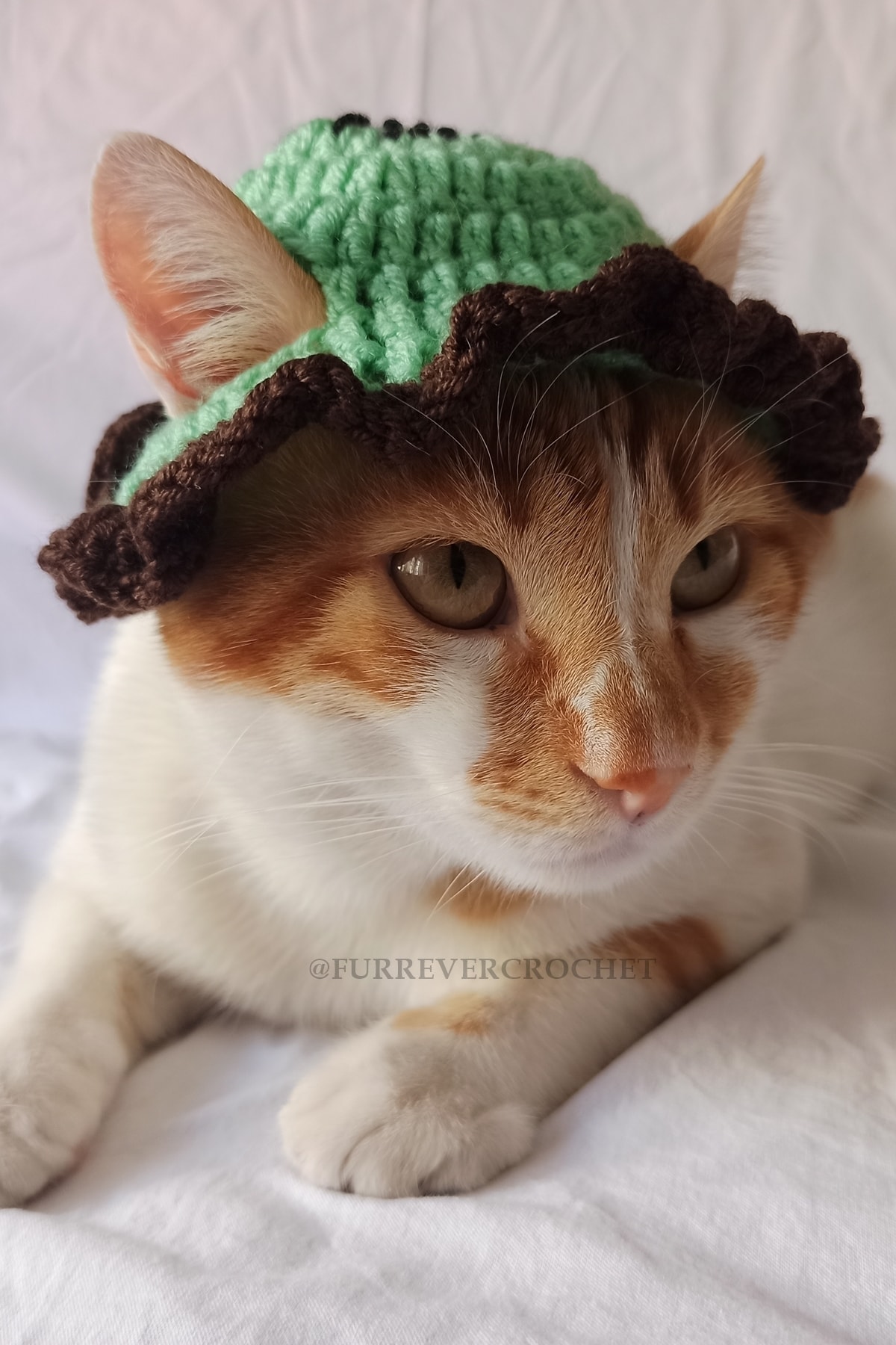Furrever Crochet Kivi Bucket Şapka Meyve Yeşil Örgü Kedi Köpek Şapkası Evcil Hayvan Şapkası Pet Aksesuarları