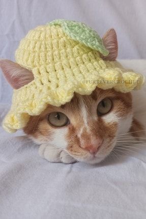 Limon Sarı Bucket Şapka Örgü Kedi Köpek Şapkası Evcil Hayvan Şapkası Pet Aksesuarları FC-125131514
