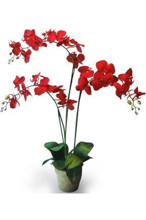 10 Adet Kırmızı Orkide Tohumu 290