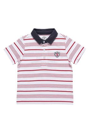 Erkek Bebek Kırmızı Polo Yaka T-shirt 3306573