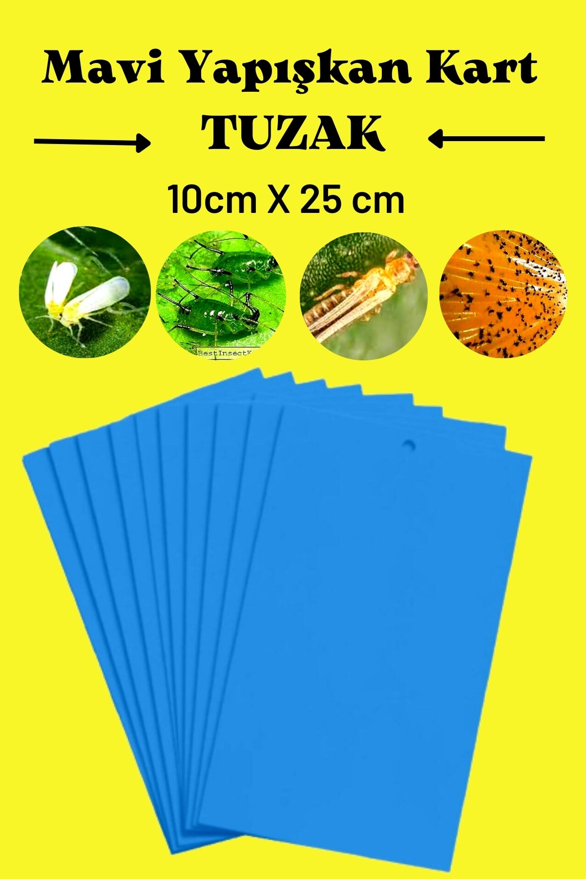 Yapışkan Mavi Kart Tuzak 10 Cm X 25 Cm 10 Adet 2