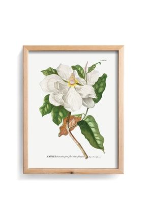 Magnolia - Ahşap Çerçeve dstn1094