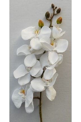 Yapay Orkide Çiçeği Beyaz Renk 95 Cm BYS-95CMORKİDE