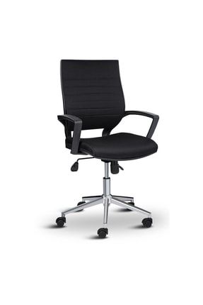 Plus 55300 Çalışma Koltuğu Ofis Koltuğu Bilgisayar Sandalyesi Asbir10002-RGK