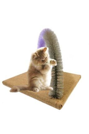 Bypet Deluxe Cift Renk Kedi Tirmalama Tahtasi 50cm Mavi Trendyol
