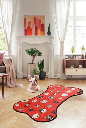 Chilai Home Kopek Paspasi Halisi 80x140 Cm Trendyol