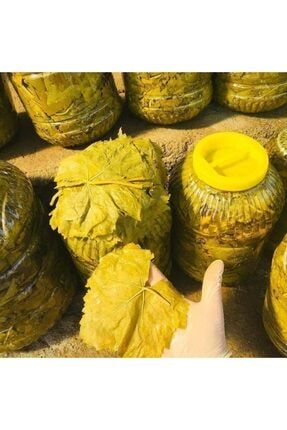 Hayat 5 Kg Manisa Salamura Yaprak Ince Damarsiz Asma Sarma Yapragi Trendyol