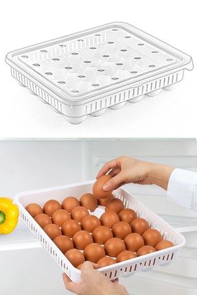 pd home 15 li yumurta saklama kabi