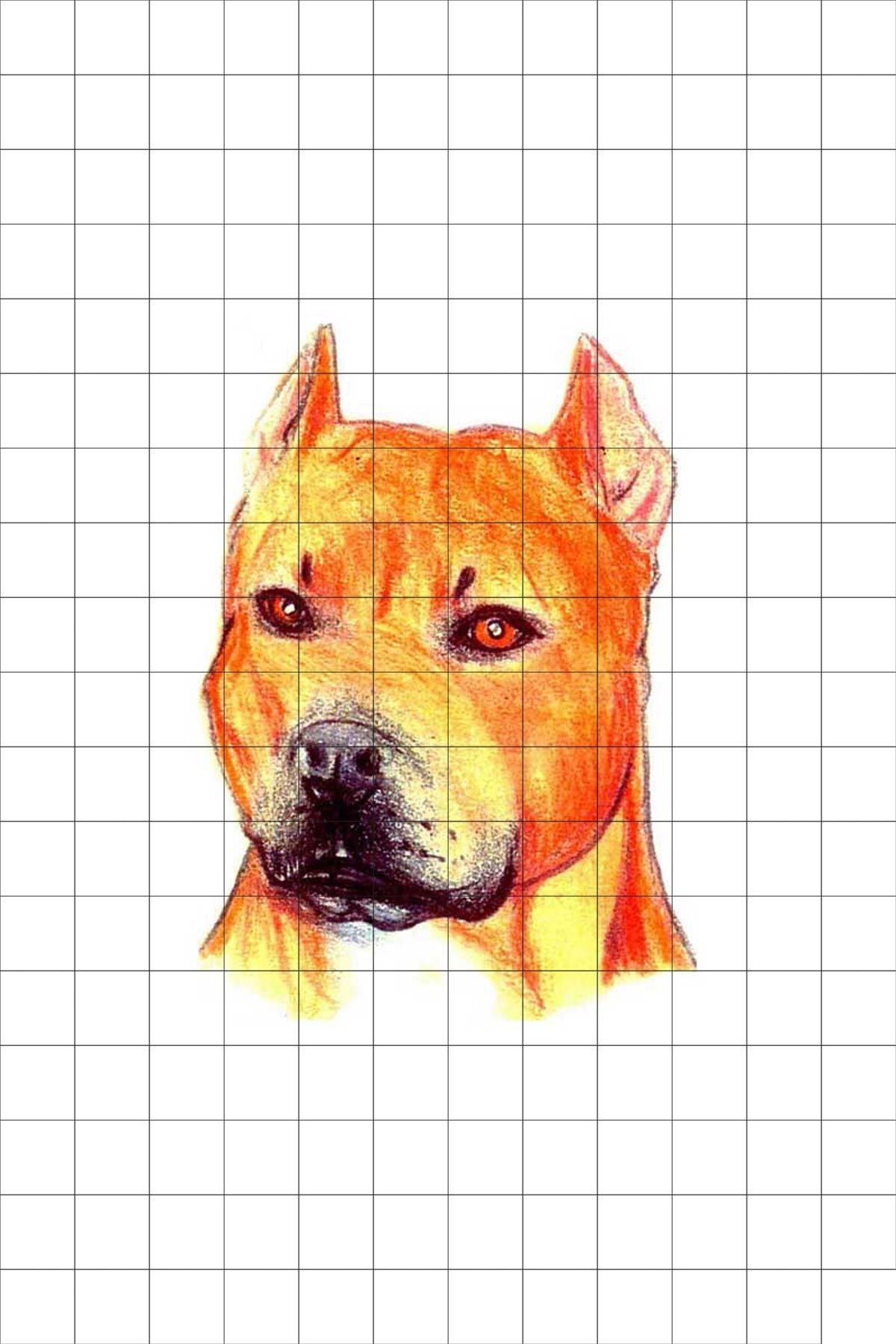 tatfast pit bull 40 gecici dovme flash