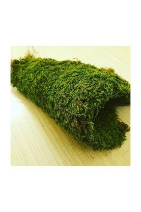 floralmoss dogal kara yosunu 1kg fiyati yorumlari trendyol