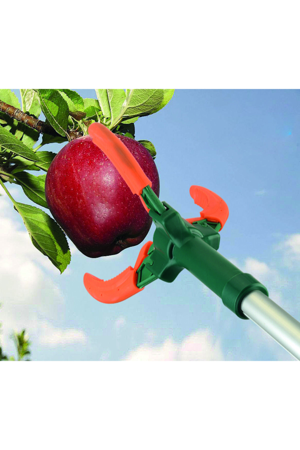 Bahçem Yüksek Dal Meyve Toplayıcı 190cm