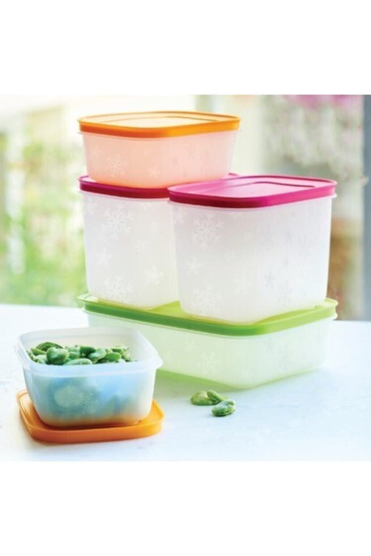 Tupperware-Alaska Series Deep Freezer Storage Container Set of 5 1