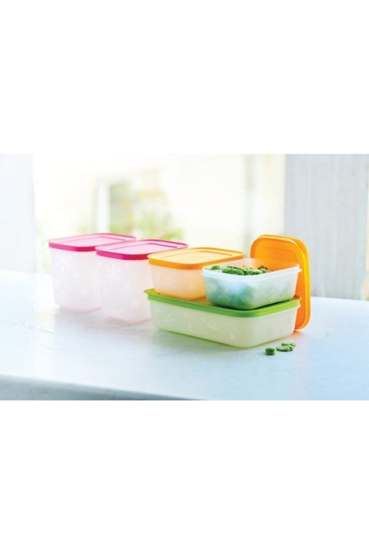 Tupperware-Alaska Series Deep Freezer Storage Container Set of 5 4