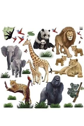 Safari Hayvanları Premium Set Duvar Sticker KTDOA1569
