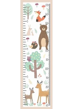 Woodland Animals Boy Ölçer Gelişim Tablosu Duvar Sticker KTDOA2113