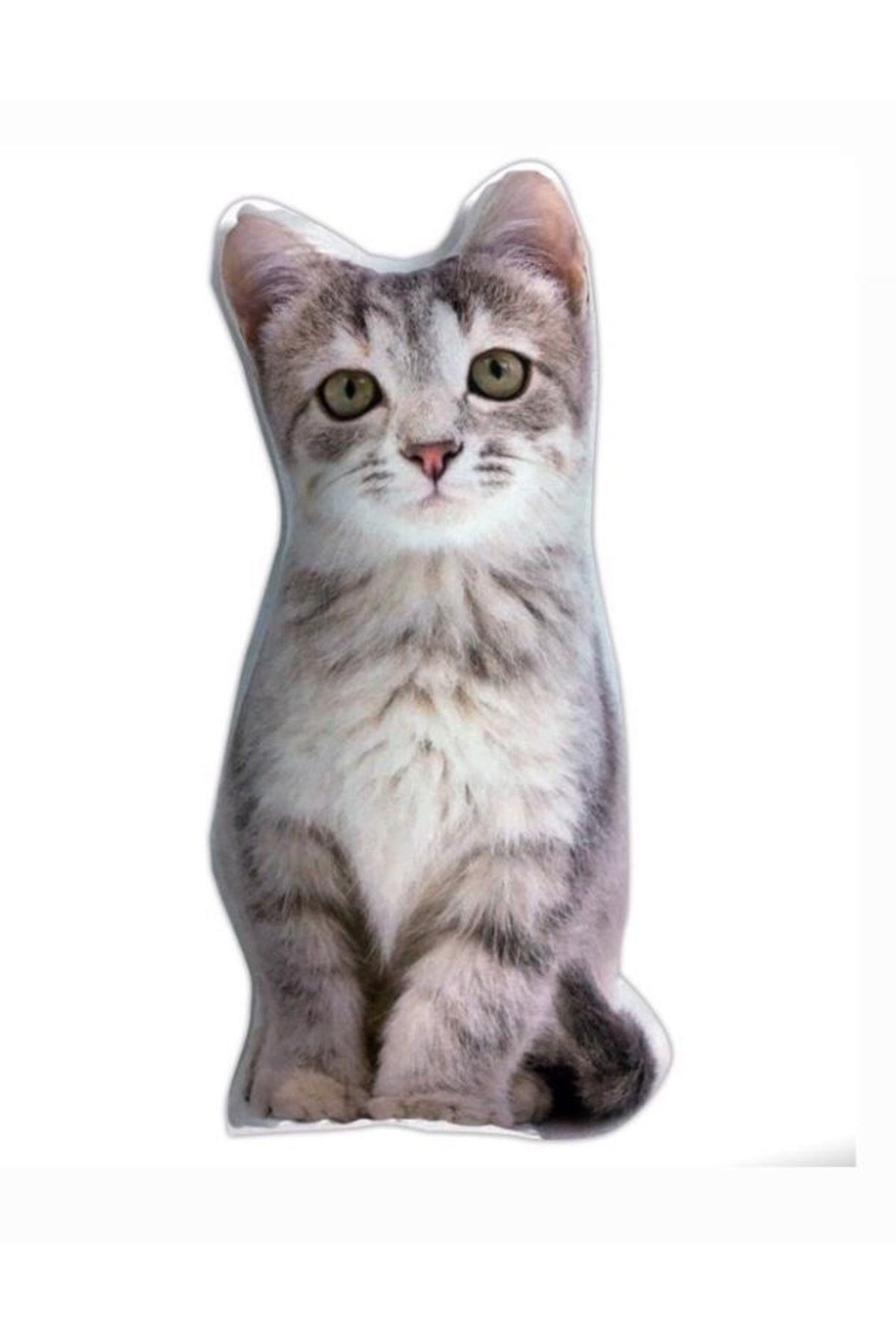 Puffbutik Kedi Yastık 2