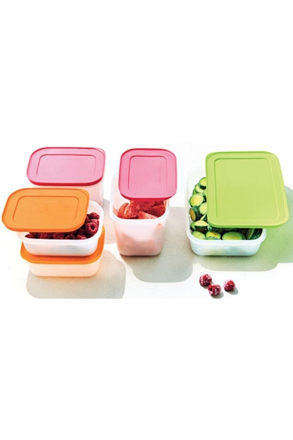 Tupperware-Alaska Series Deep Freezer Storage Container Set of 5 2