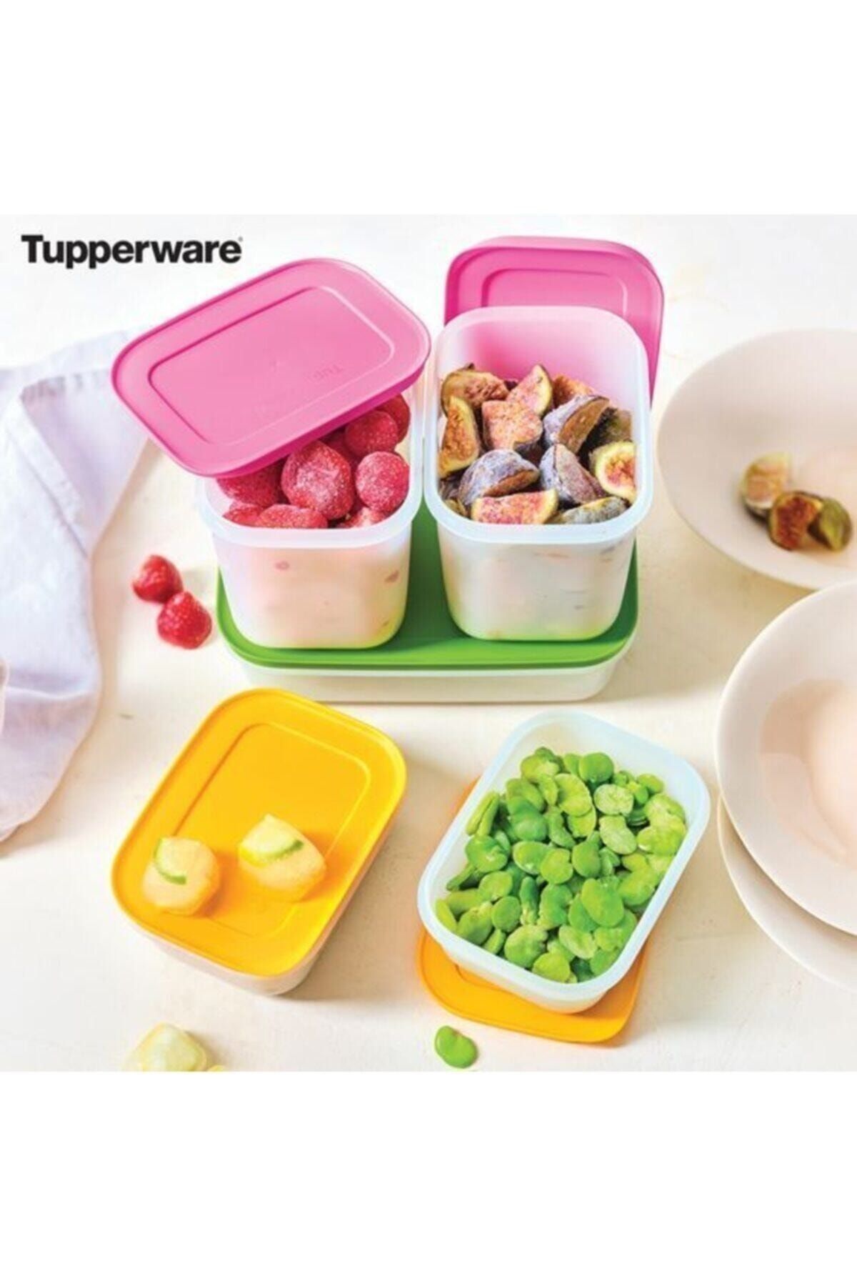 Tupperware-Alaska Series Deep Freezer Storage Container Set of 5 5