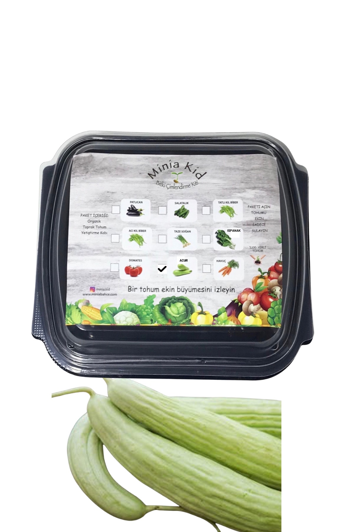 Acur Germination Kit