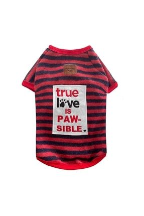 True Love Kedi Köpek Kıyafeti Kalın T- Shirt LY296-000