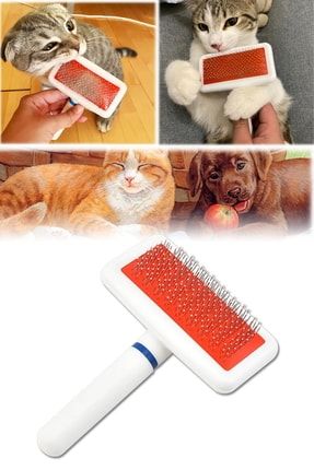 Masaj Etkili Kedi Köpek Koyun Tarama Tüy Düzenleyici Toplayıcı Tarak Beyaz Fırça Kıl Temizleyici Pro cm100b