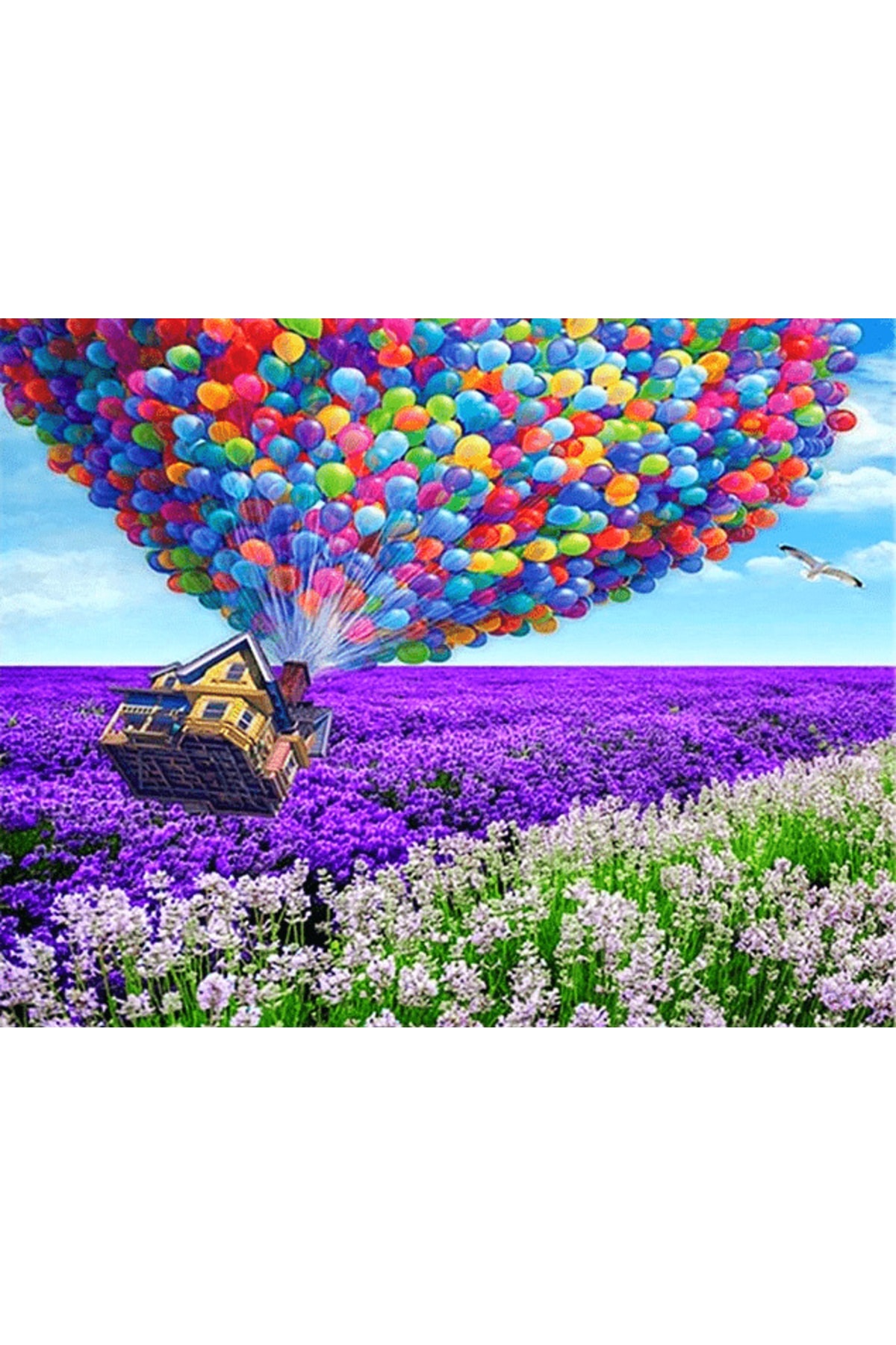 Hobi Tedarik Renkli Balonlar ve Uçan Ev Çerçeveli 90x110 Sayılarla