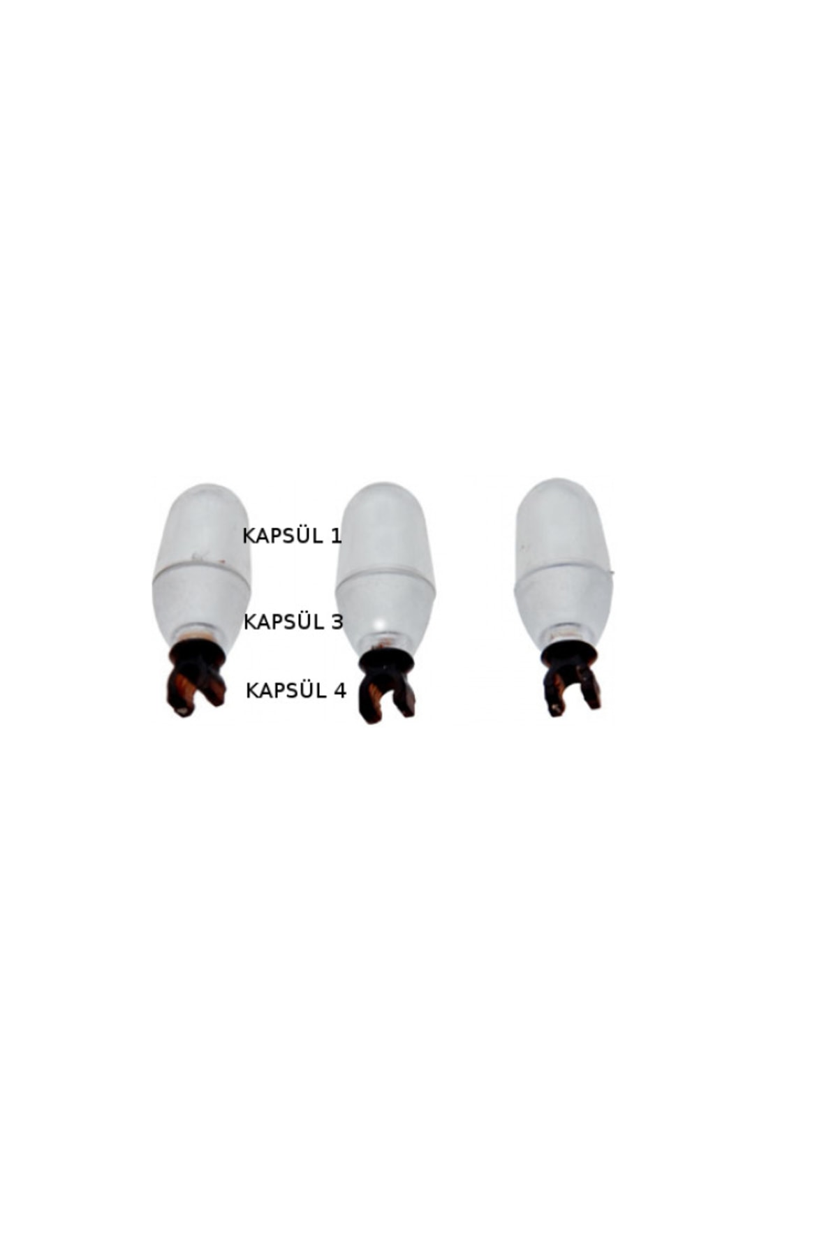 Yumurta Tutucu (KAPSÜL 4) 200'lü Ys-d104-200 - Arıcılık 2