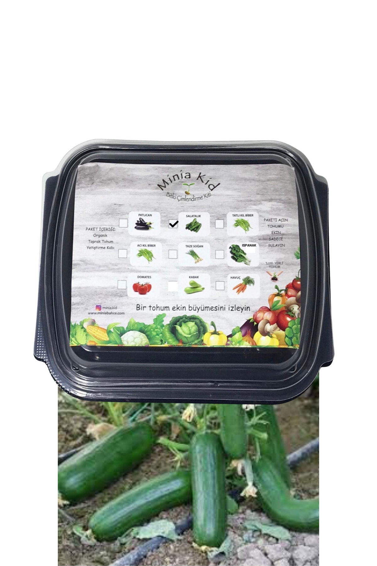 Cucumber(BEİTH ALPHA) Germination Kit