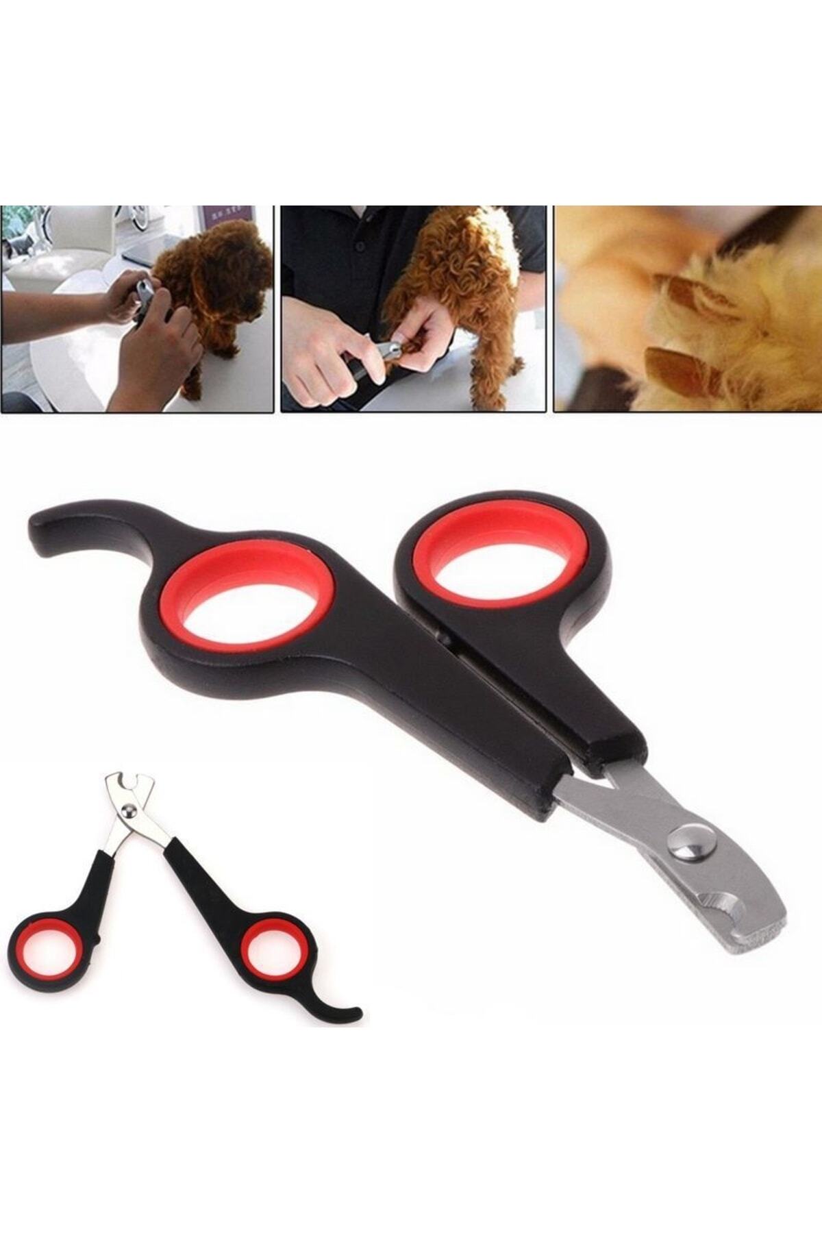 mrtbilisim Kedi Mini Irk Köpek Evcil Hayvan Tırnak Makası Düzeltme Kesme Mini Irk Köpek Tırnak Makası