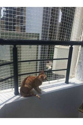 2,50 x 16 mt Balkon Kedi Güvenlik Filesi Kedi Ağı Kalın Balkon Kuş Güvercin Önleme Ağı kedifilesi16m