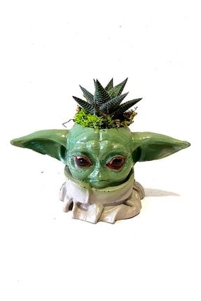 Starwars Baby Yoda - Haworthia Kaktüs Hediyeli Yoda122