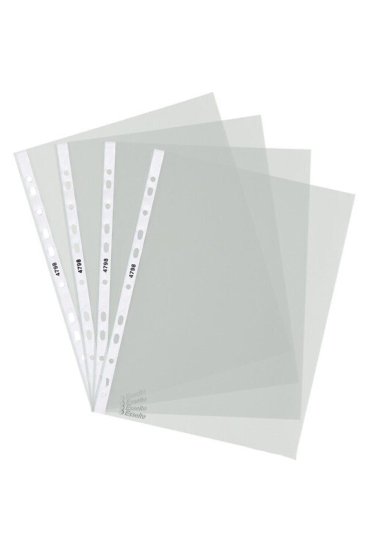 Esselte Poşet Dosya A4 100 Lü Slt-4798