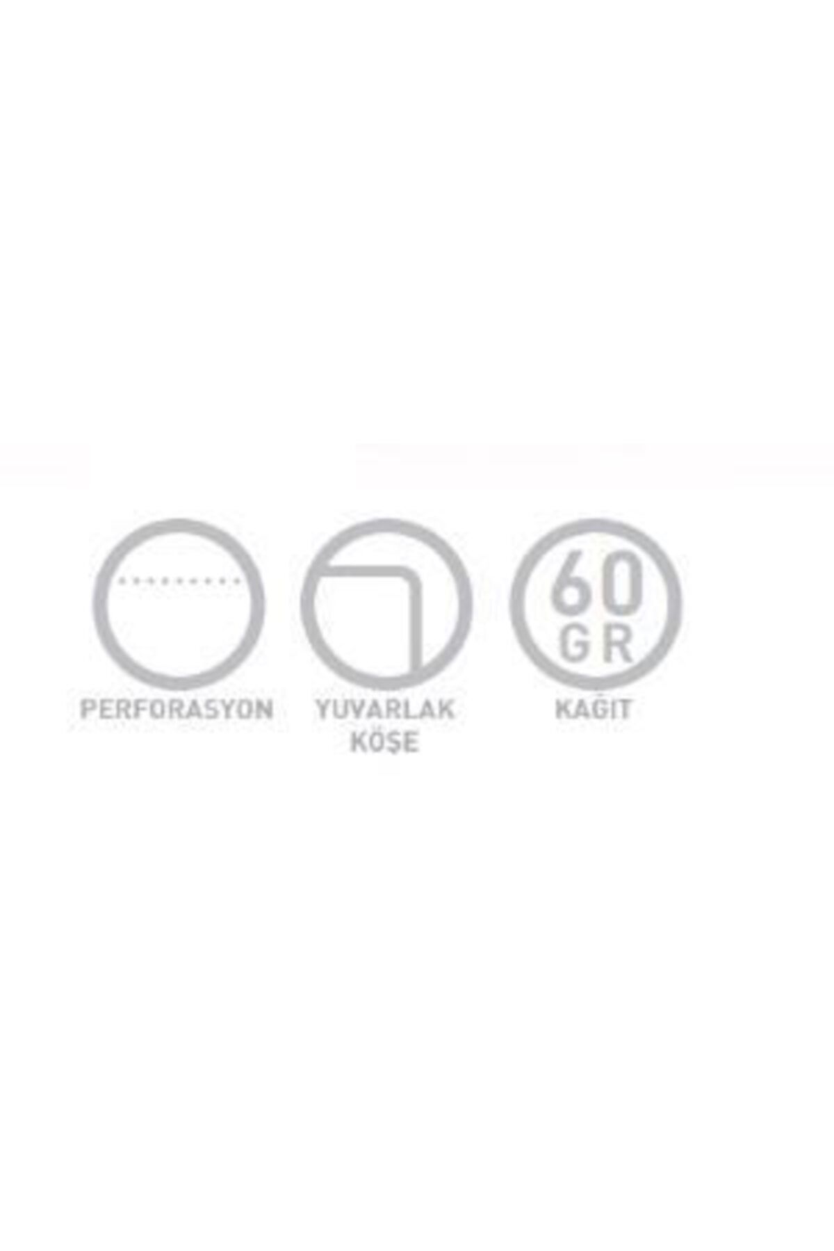 Gıpta-Convex A4 Spiral PP Cover Memo Pad (notepad) 100 Sheets Lined (Pack of 6) 1393 2