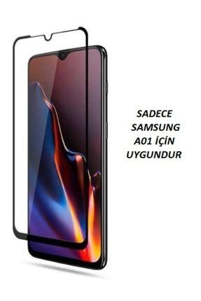 Samsung A01 Tam Kaplayan Ön Ekran Koruyucu-tempered Glass jacqA10044