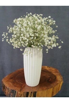 Doğal Cipso Dökülmeyen Şoklanmış Beyaz Cipso Kuru Çiçek Yapay Çiçekler Vazo Saksı Süsleme Çiçekleri AKERCIPSOKURU09X1
