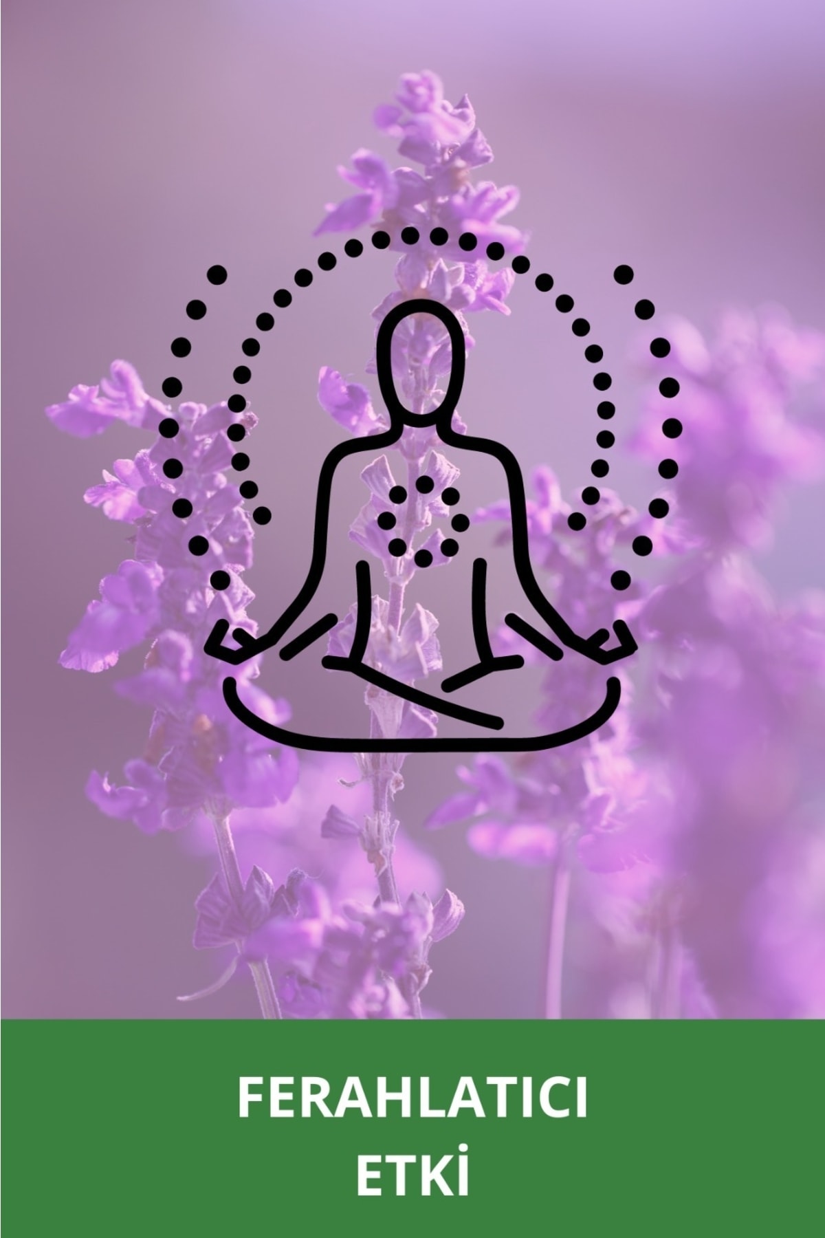 ژل و کرم دوش زنانه – مردانه  ELLESTY | EL006 اورجینال - تصویر 6