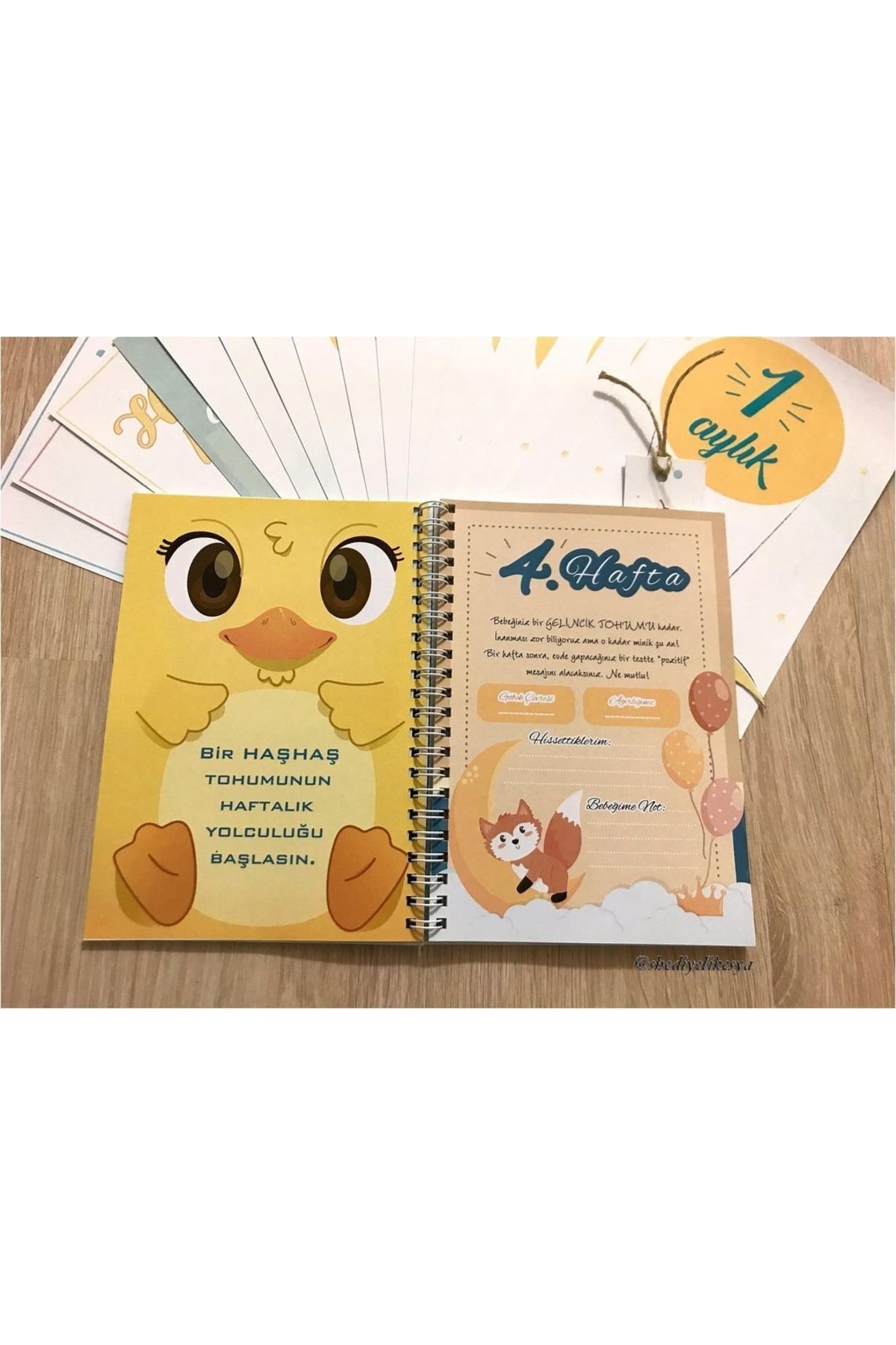 Şahsi Yayımlanan Kitap Hamilelik Ve Anne Bebek Günlüğü / Bebek Anı Defteri / Anı Kartları Hediye / Kişiye Özel Tasarım fotoğrafı 4 (önizleme)