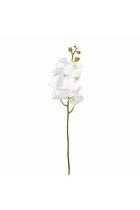 Yapay Beyaz Islak Orkide Dal P1075S4207