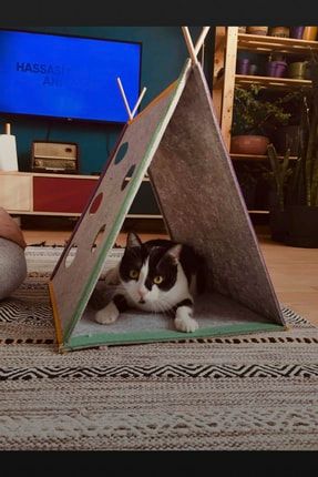 Kedi Oyun Çadırı Interaktif Kedi Evi Cattent Kedi Çadırı Cattent-Kedi-Çadırı