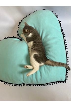 Kedi Ve Köpeklerimiz Için Çok Rahat Uyku Dostu Xl Handmade Yatak 56