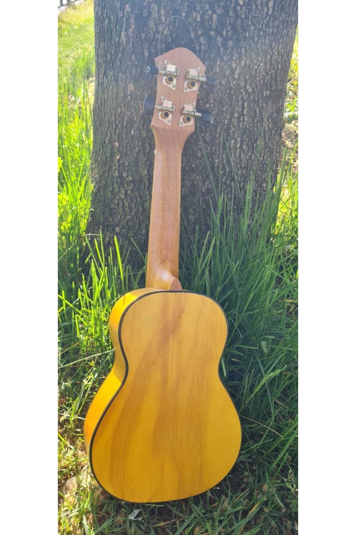 MSC-Handmade Soprano Ukulele 2