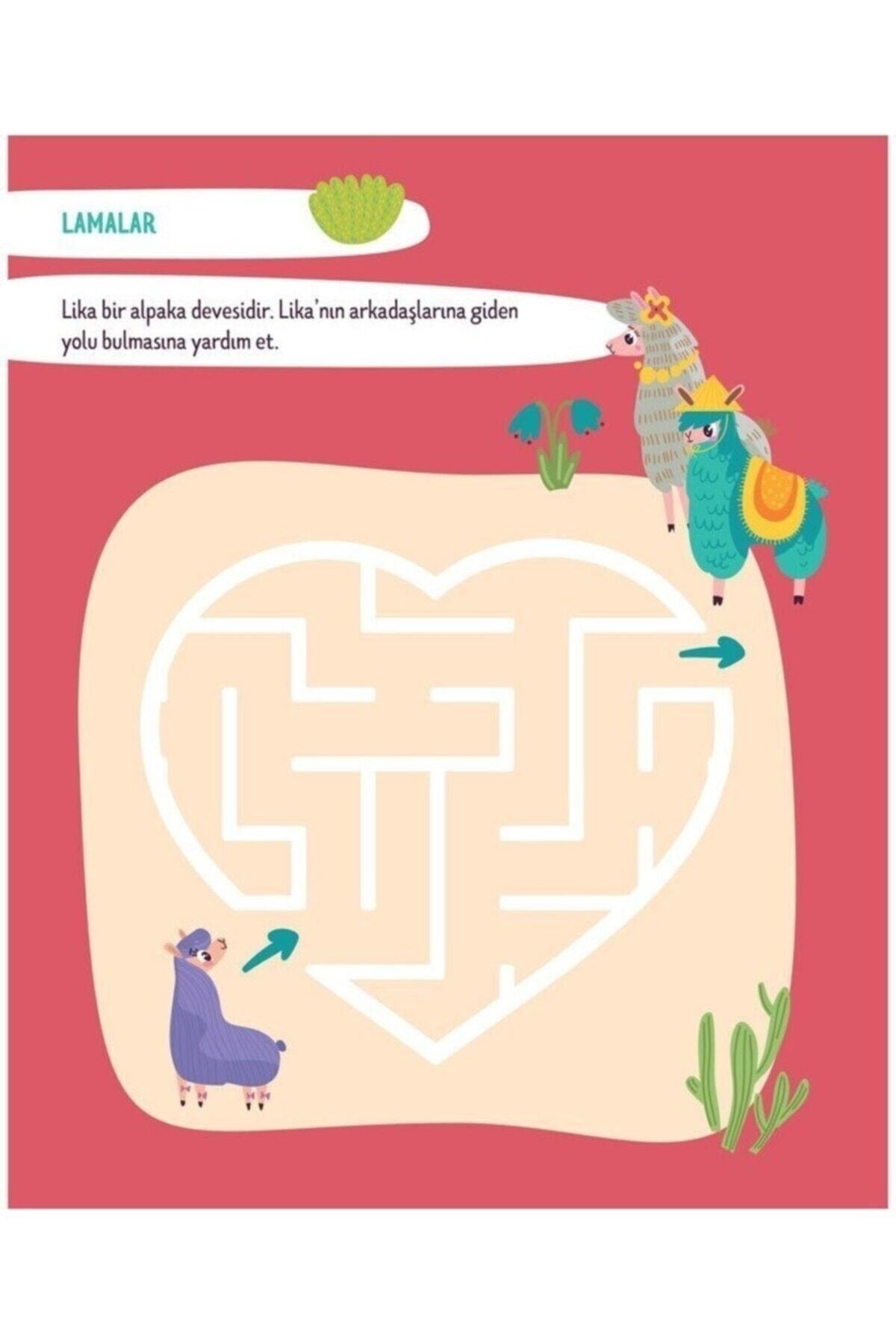 Summer Erase ۲ – مجموعه کتاب کار خانگی ۳ تکه برای کودکان ۴ تا ۲ ساله