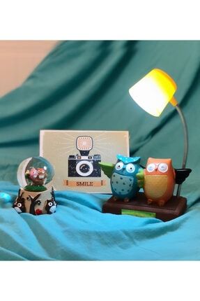 Smile Mini Albüm Baykuş Kar Küresi Ve Tonton Baykuş Masa Lambası Set Gmhs100030