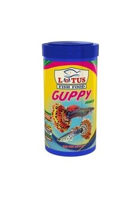 kanki pet 100 cm akvaryum duz siyah tam
