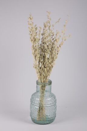 Şoklanmış Doğal Kuru Çiçek Beyaz Sedef Otu Demeti 30-40cm KC0047