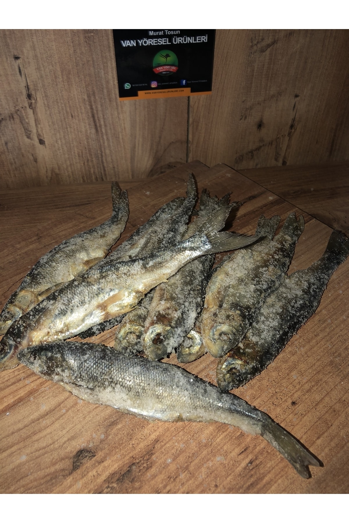 tuzlu su balığı duvar kağıdı