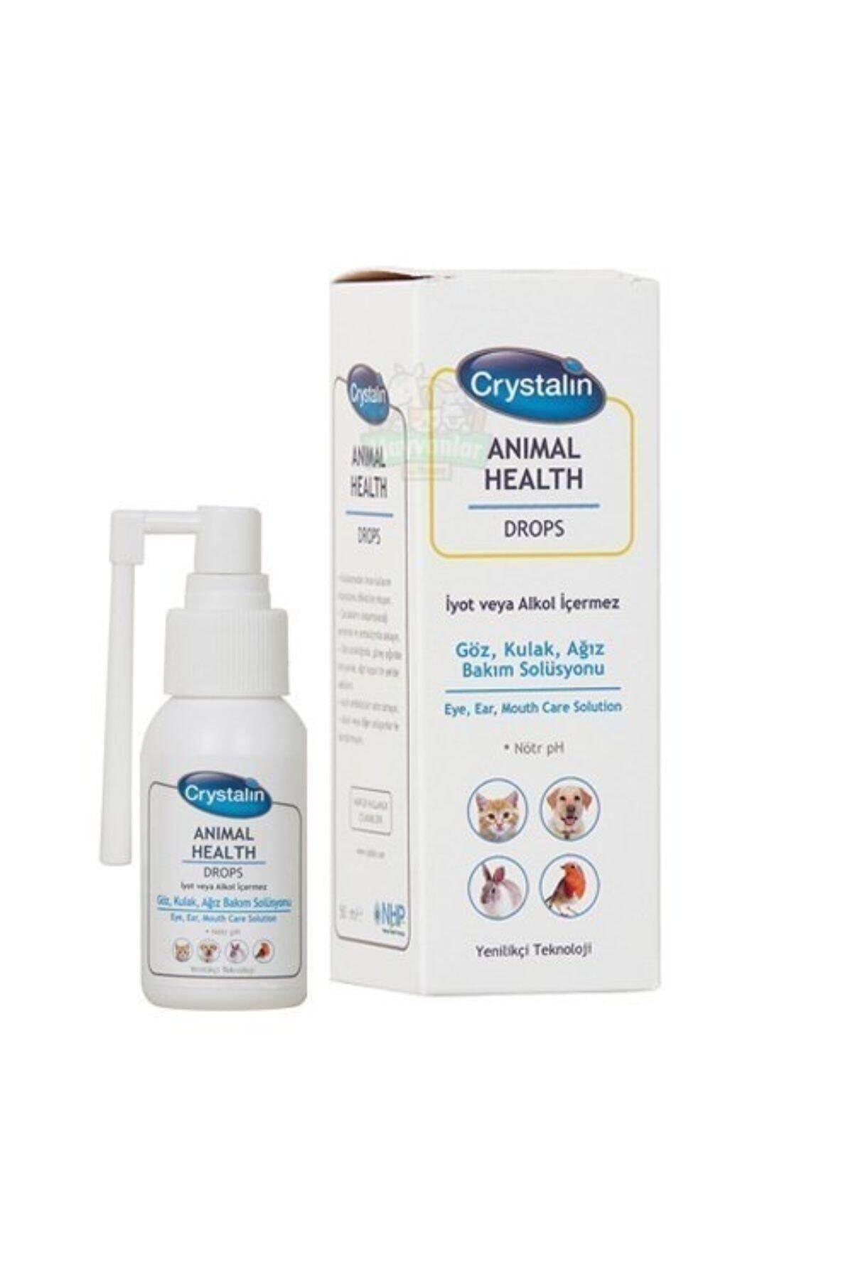 Animal Healt Kedi Köpek Evcil Hayvan Solüsyonu 50 Ml