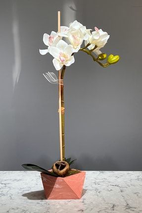 Tasarım Beton Saksıda Yapay Tek Dal Faberi Rolfe Tropik Orkide 55 Cm Beyaz TB-757